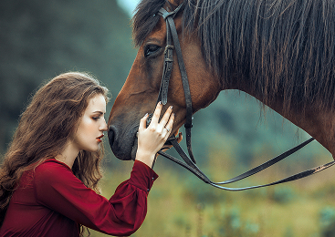 Forcesprint Performans